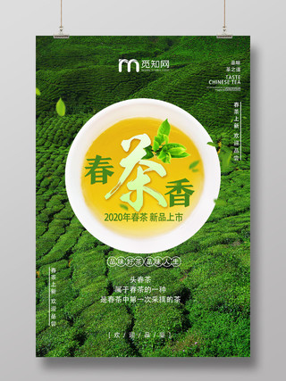 茶叶绿色清新春茶香春茶海报